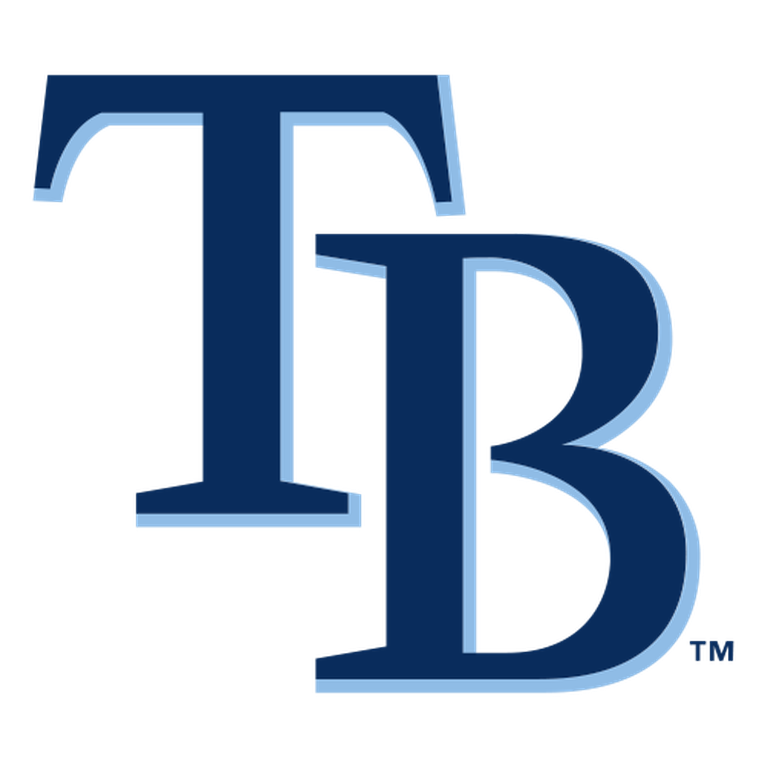 Tampa Bay Rays Beanie Hat