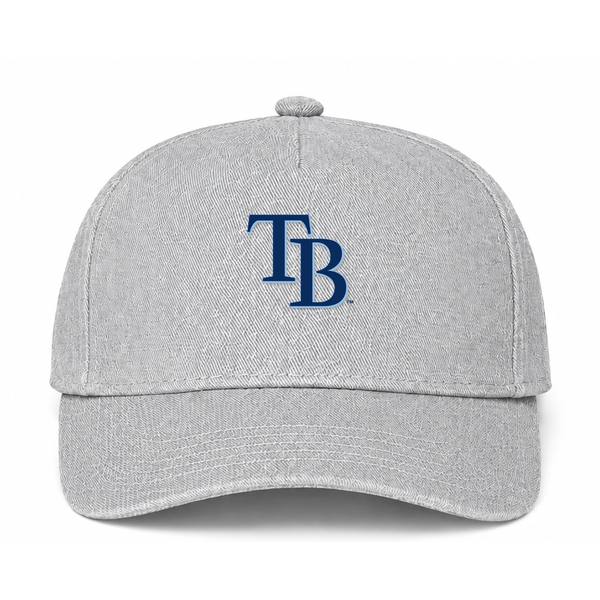 Tampa Bay Rays MLB Logo Gray Dad Baseball Cap Hat
