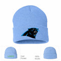 Carolina Panthers Sky Blue Beanie Hat