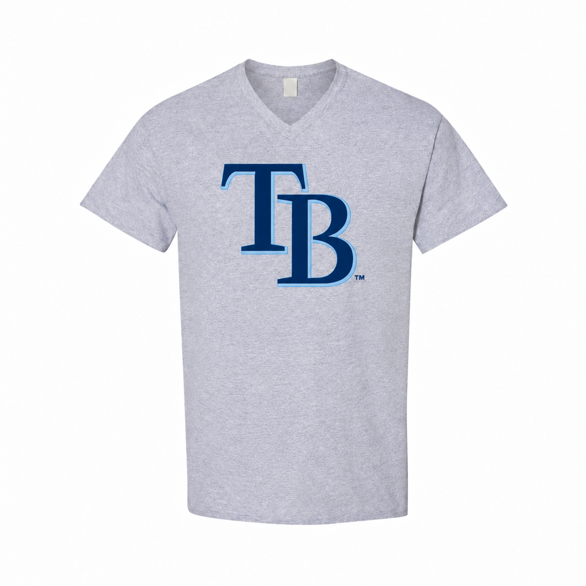 Tampa Bay Rays men's cotton V-neck T-shirt in gray