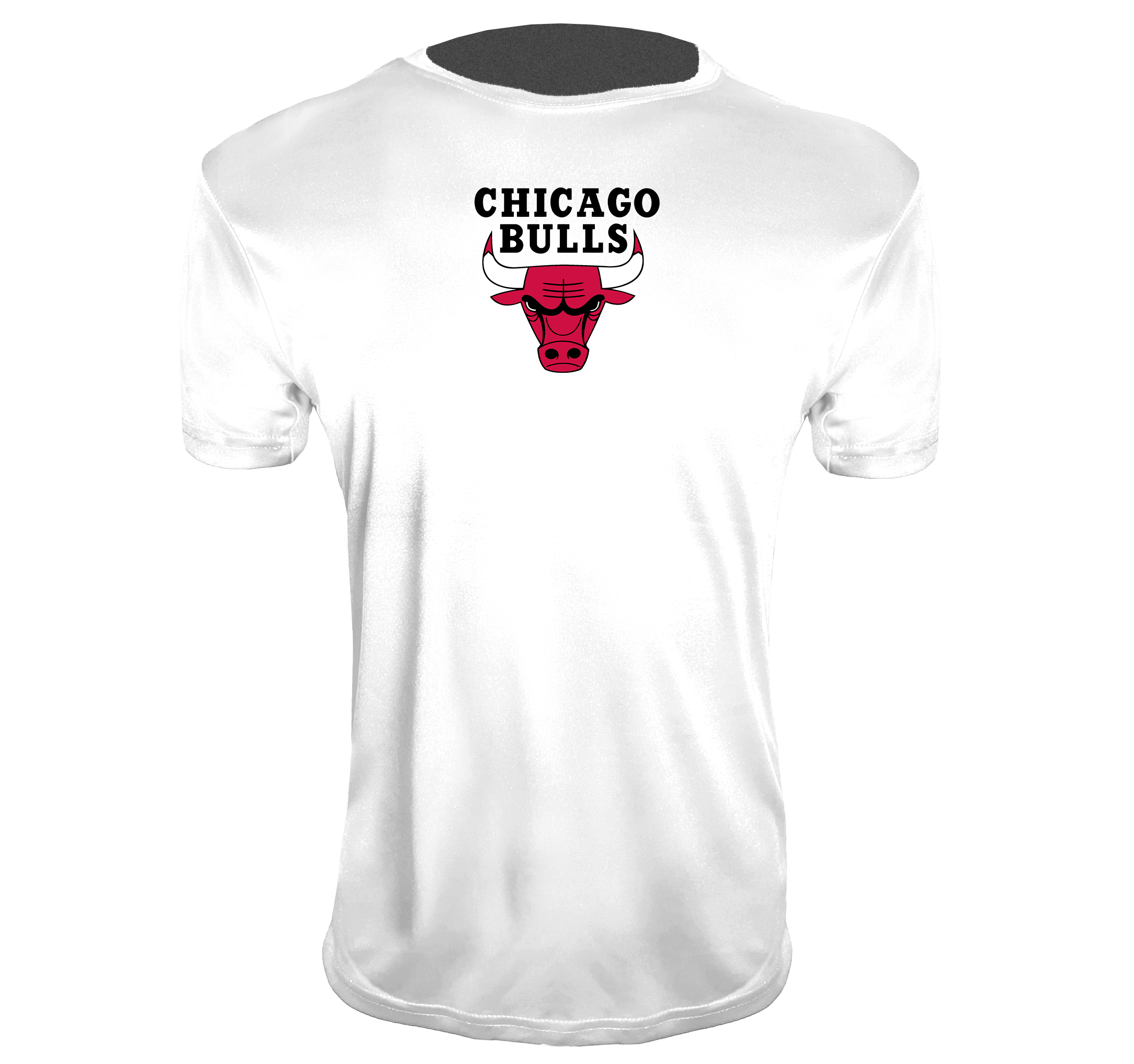 Men's Chicago Bulls Polyester T-Shirts