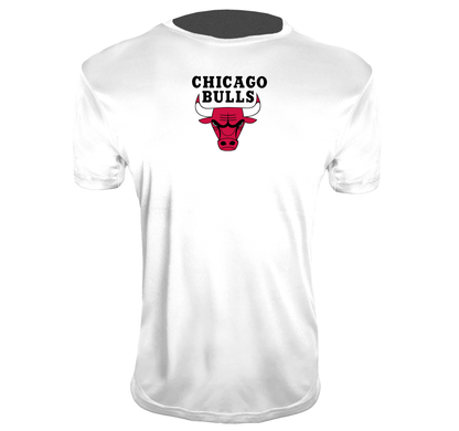 Men's Chicago Bulls Polyester T-Shirts